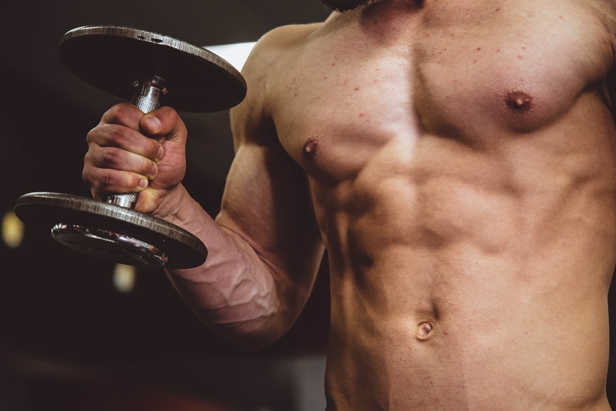 Healthy balanced meals for muscle building nutrition